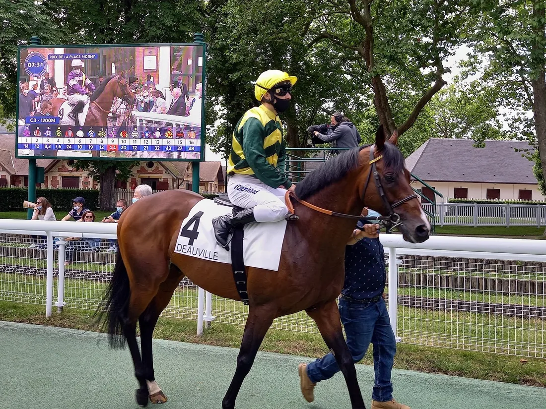 Hippodrome Deauville-2